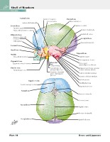 Frank H. Netter, MD - Atlas of Human Anatomy (6th ed ) 2014, page 31